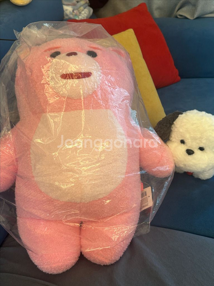 핑크밸리 핑크곰인형--0