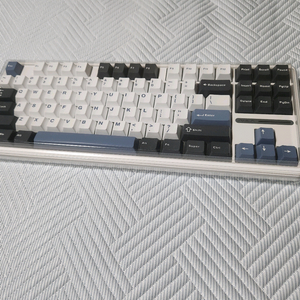 독거미 aula f87 pro 회목축