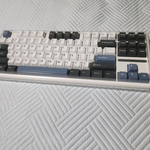 독거미 aula f87 pro 회목축