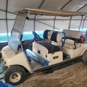 골프카트