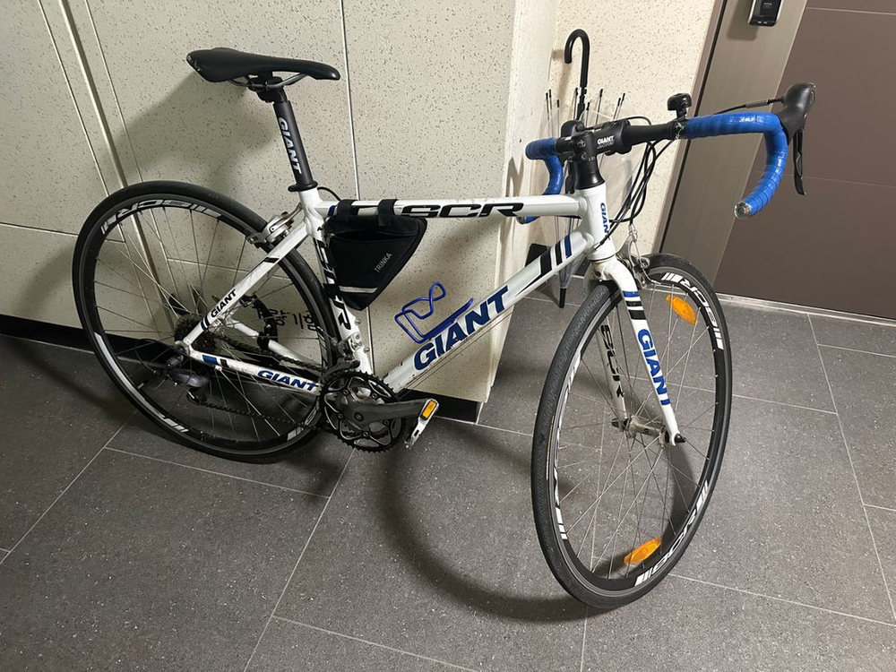 자이언트 scr2--1