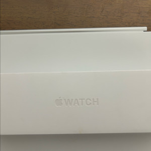 애플워치 10 실버 46mm