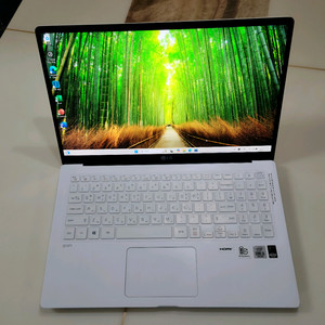 LG그램 노트북 15Z90N i5 10세대,16/512