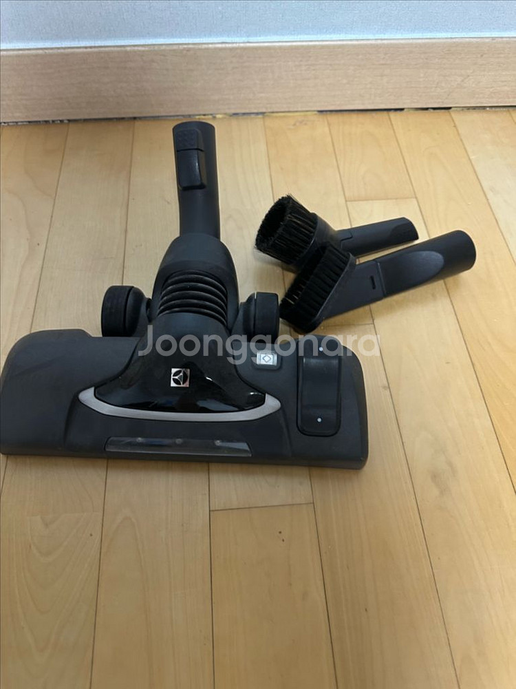 일렉트토룩스 헤드--1