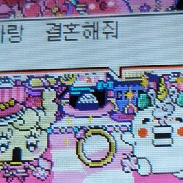 다마고치 썸 색상 상관없이 구해요