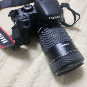 캐논 800d + 헝그리망원
