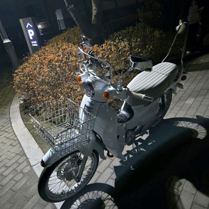 25년 슈퍼커브 110 화이트