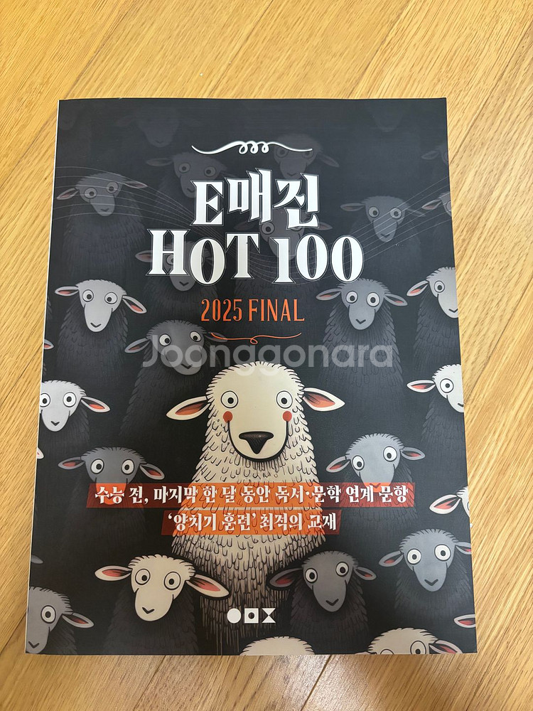 2025 E매진 HOT100 미사용--0