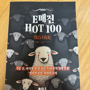 2025 E매진 HOT100 미사용