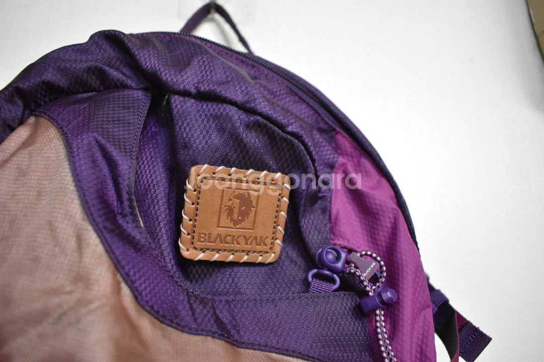 블랙야크 배낭<<20L>>--2