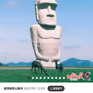 북해도 홋카시도 삿포로 여행 버스 투어 양도