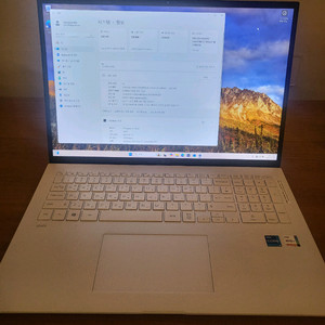 LG그램 17ZD90P-GX50K 17인치