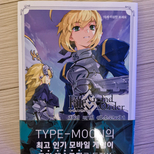 페그오 fgo 페이트 그랜드오더 전격 코믹책 도서