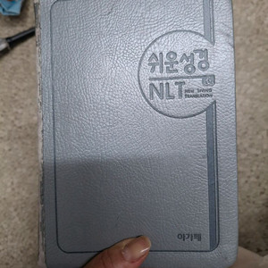아가페 쉬운성경 & 영어 NLT (중,단본,색인)