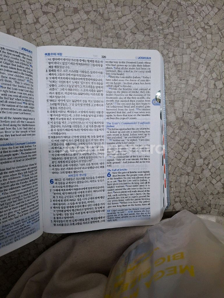 아가페 쉬운성경 & 영어 NLT (중,단본,색인)--2