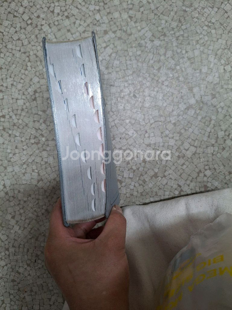 아가페 쉬운성경 & 영어 NLT (중,단본,색인)--3