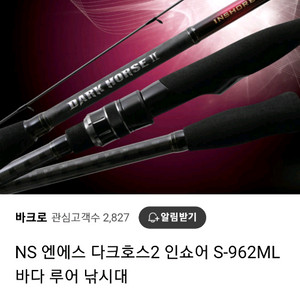 다크호스2 인쇼어 S-962ML 범용 바다루어대 판매합