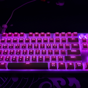 커세어 k70 mgx tkl 풀윤활