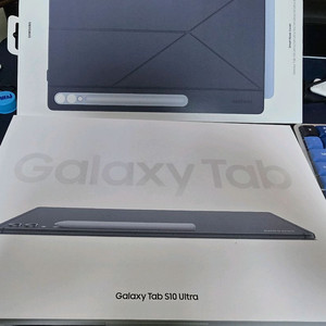 갤럭시탭 S10 울트라 WiFi 1TB