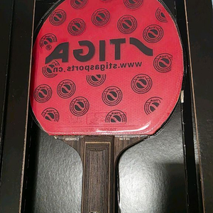 탁구 스티가 에벤홀즈