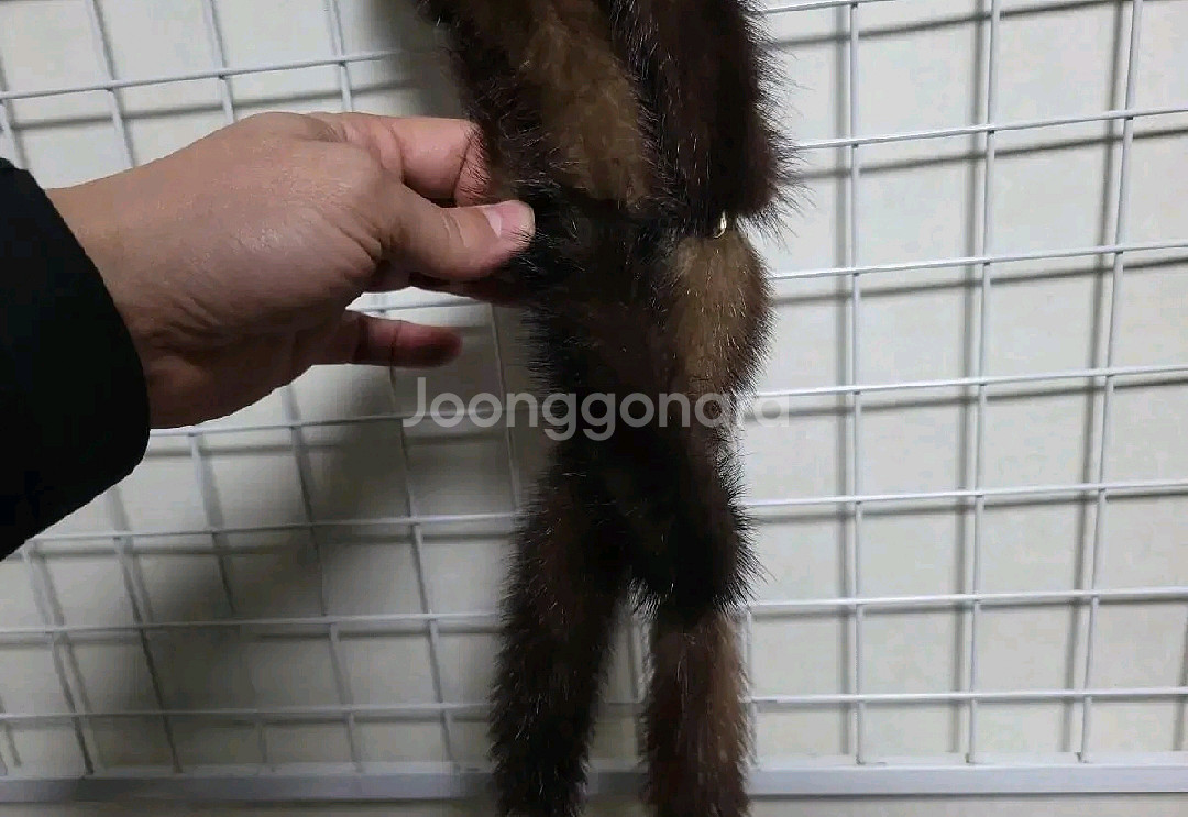 (새벨트수준)루이비통벨트--1