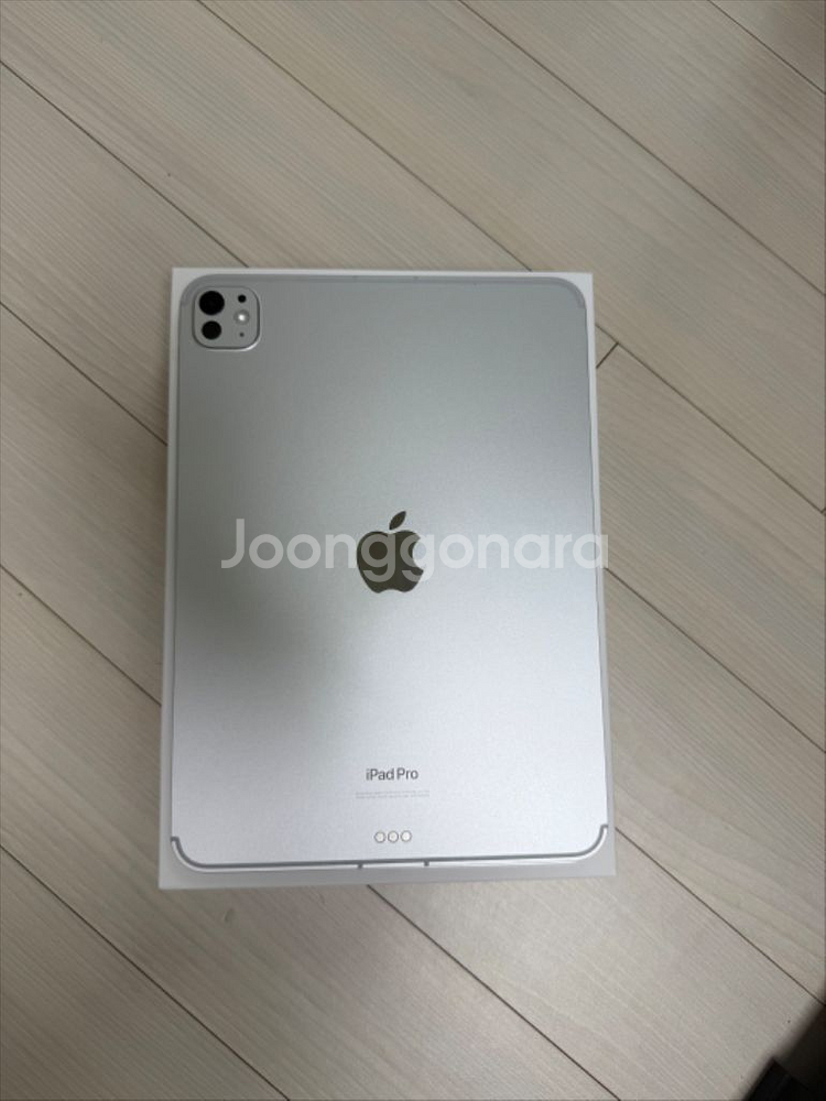 아이패드프로11 m4 256 셀룰러 실버--3