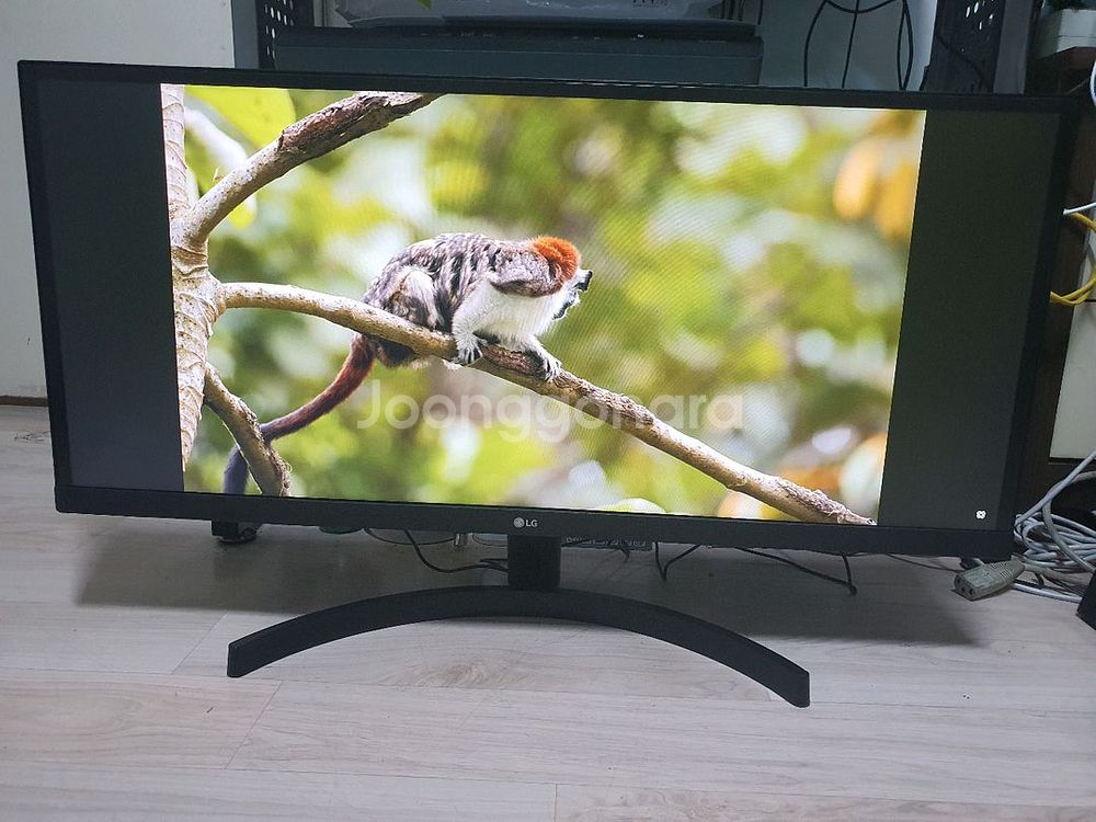 (수원) LG 29인치 와이드 모니터 (29WL50S)--6