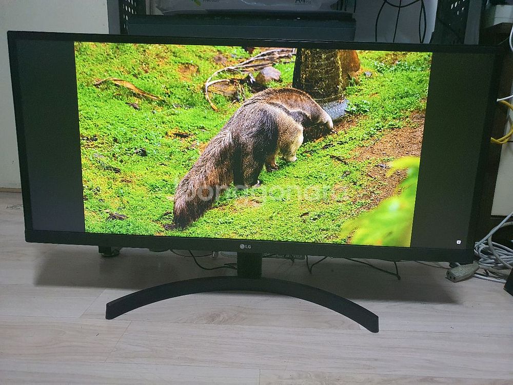 (수원) LG 29인치 와이드 모니터 (29WL50S)--7