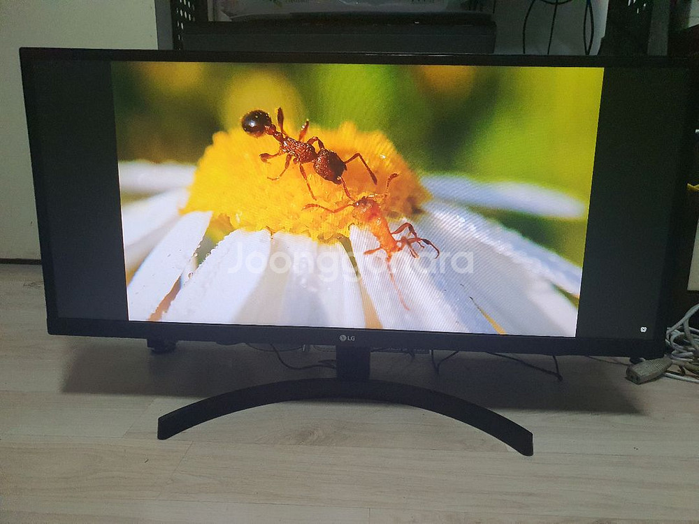 (수원) LG 29인치 와이드 모니터 (29WL50S)--8