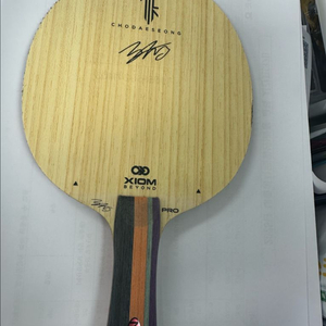 엑시옴 조대성 tmx pro