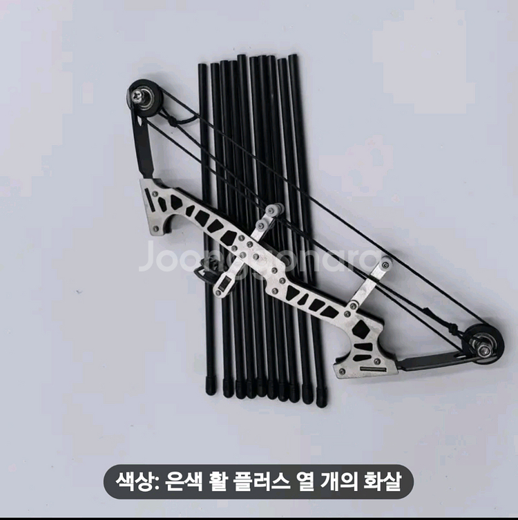 양궁.--5