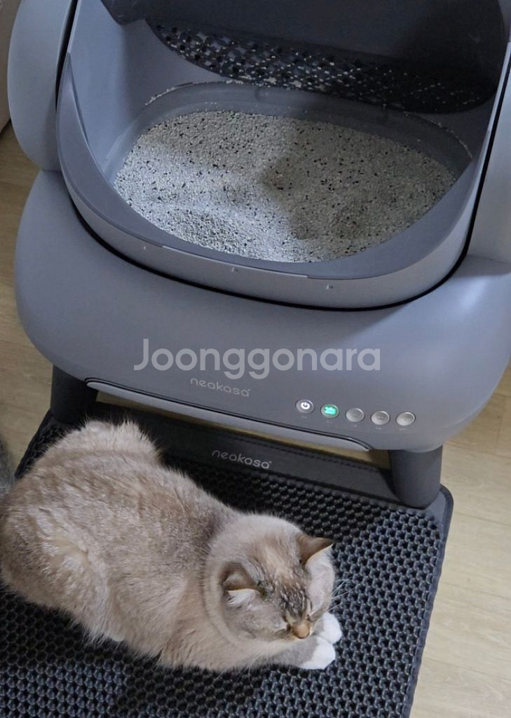 코오롱 니카사 자동화장실--0