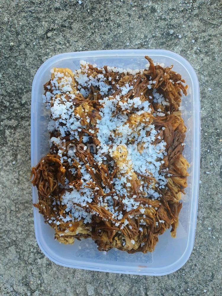 지리산 싸리버섯 염장싸리버섯 채취판매!--4