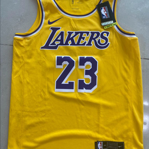 Lebron James 스윙맨 저지 미국판 (새상품)
