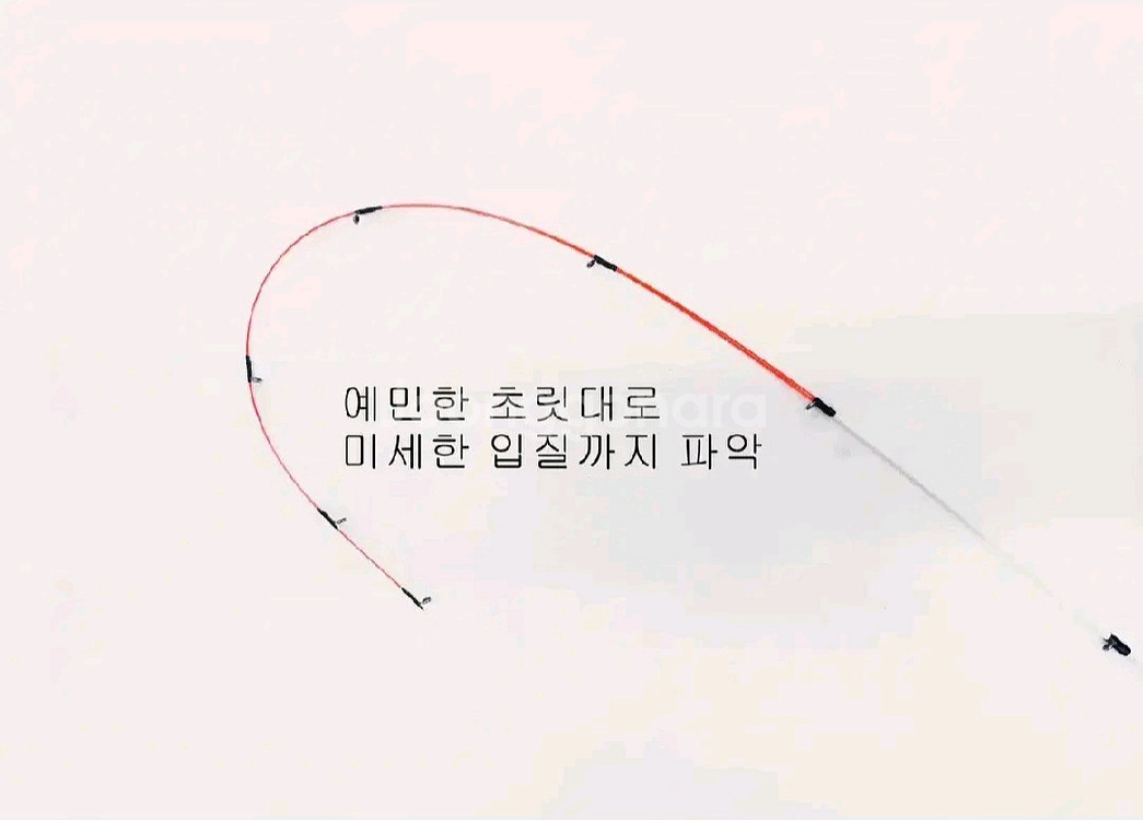 갈치.풀치.한치.화살촉,볼락.호래기낚시대2대+시마노릴--2