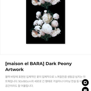 캔버스 액자 메종엘바라 Dark Peony 아트워크
