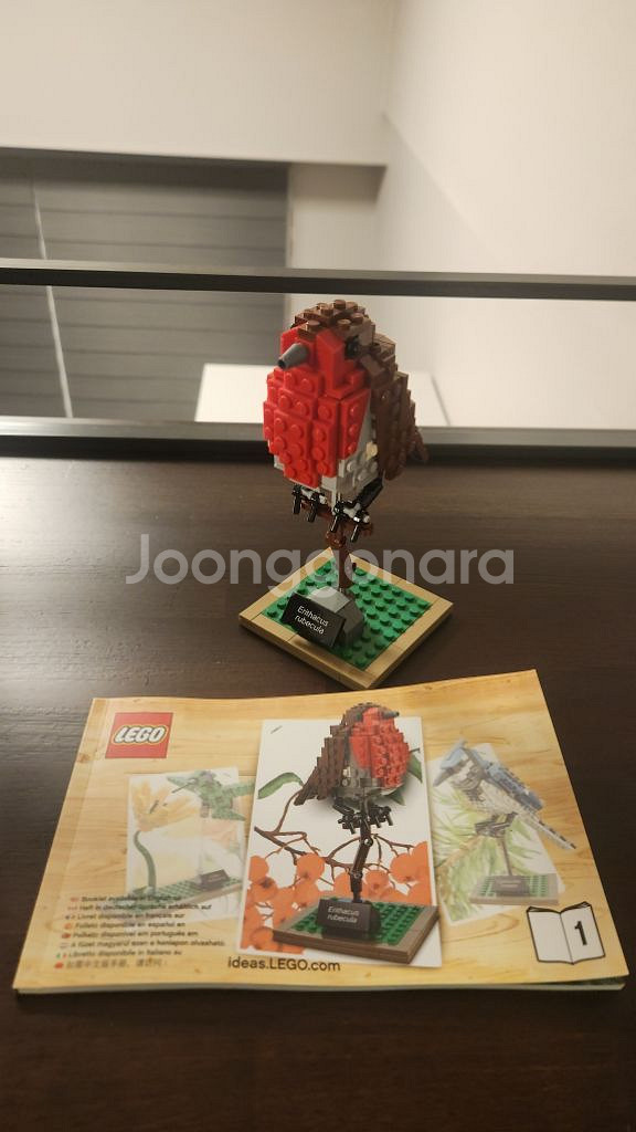 레고 71805 닌자고, 21301 아이디어스 새 판매--3