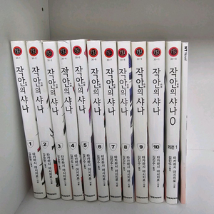 소설,라노벨) 작안의샤나 1~10권 +외전 ㅡ1만