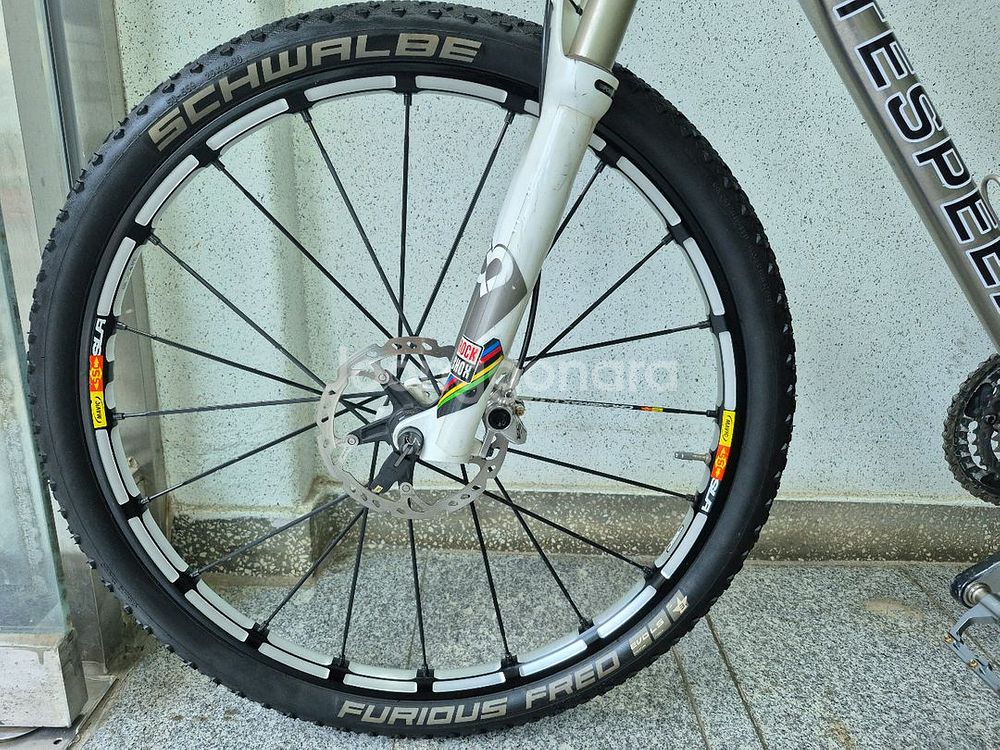 라이트스피드 피스카 티타늄 MTB 지전거--2