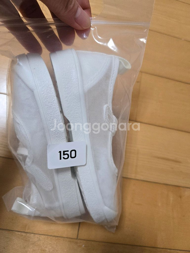 아이보리스 시스루150--0