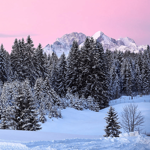 홀덤테이블 구매합니다.