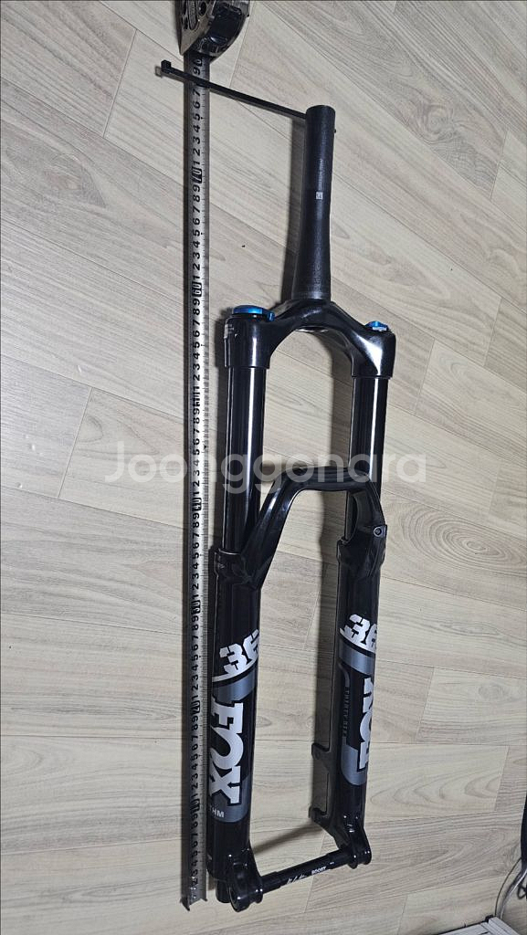 폭스 36 29인치--0