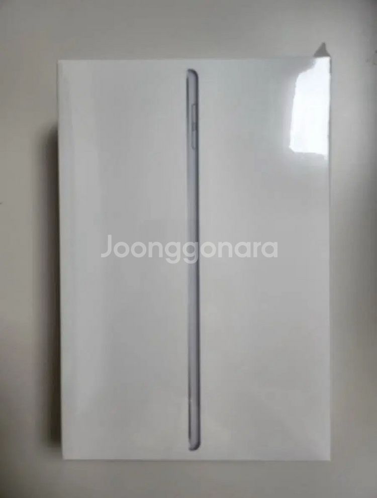아이패드 미니5 64GB 셀룰러 실버 애플케어플러스--0