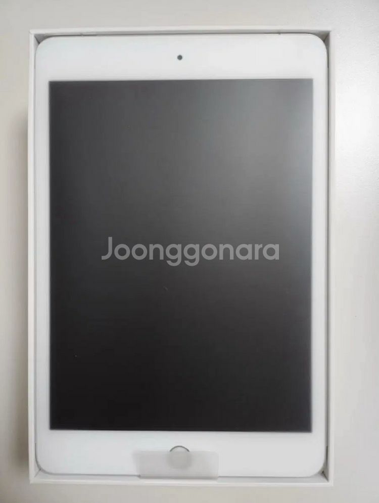 아이패드 미니5 64GB 셀룰러 실버 애플케어플러스--1