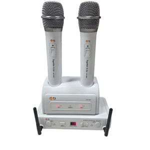 태진 무선마이크 (DWS-5800C)