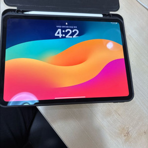 아이패드 프로 m4 11인치256GB+애플팬슬 프로