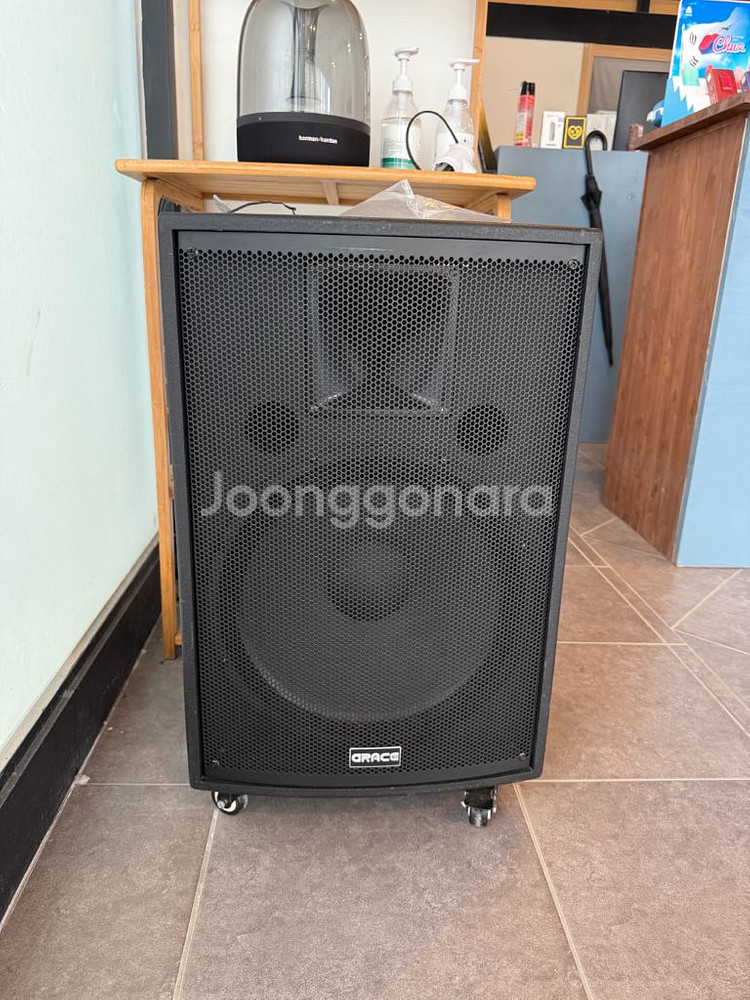 카날스 그레이스 eg-615 이동식 엠프--0