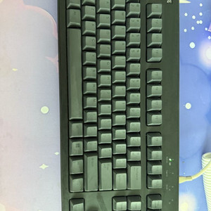 리얼포스 r3 30g