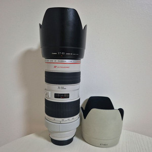 캐논 70-200mm F2.8 usm 엄마백통