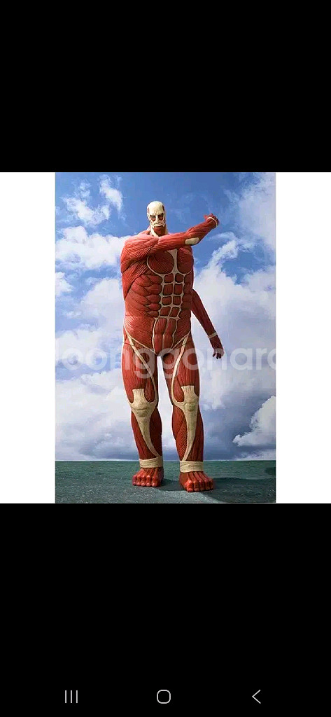 진격의 거인 초대형거인 저금통 60cm 피규어 판매--0